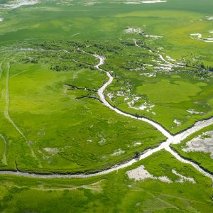 Kakadu Dry Season Flight