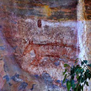 2 Day Kakadu Small Group Tour