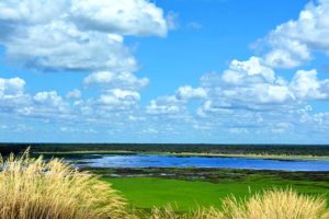 2 Day Kakadu and Litchfield Tour