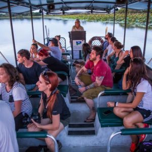 cruise on the Mary River Wetlands