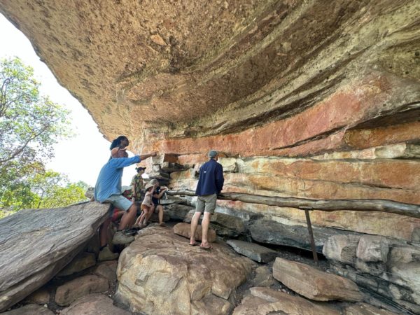 Kakadu National Park Day Tour departing Darwin